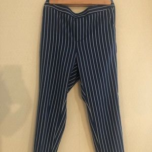 Banana Republic Petite Hayden Pant